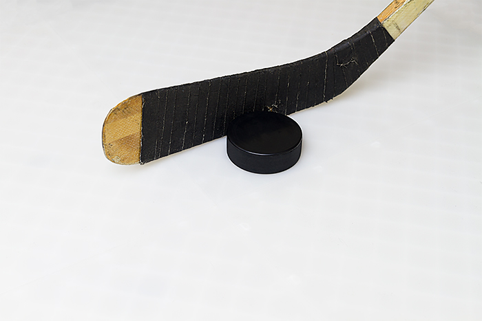hockey puck