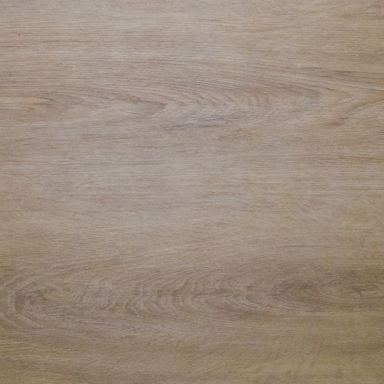 sandalwood plus